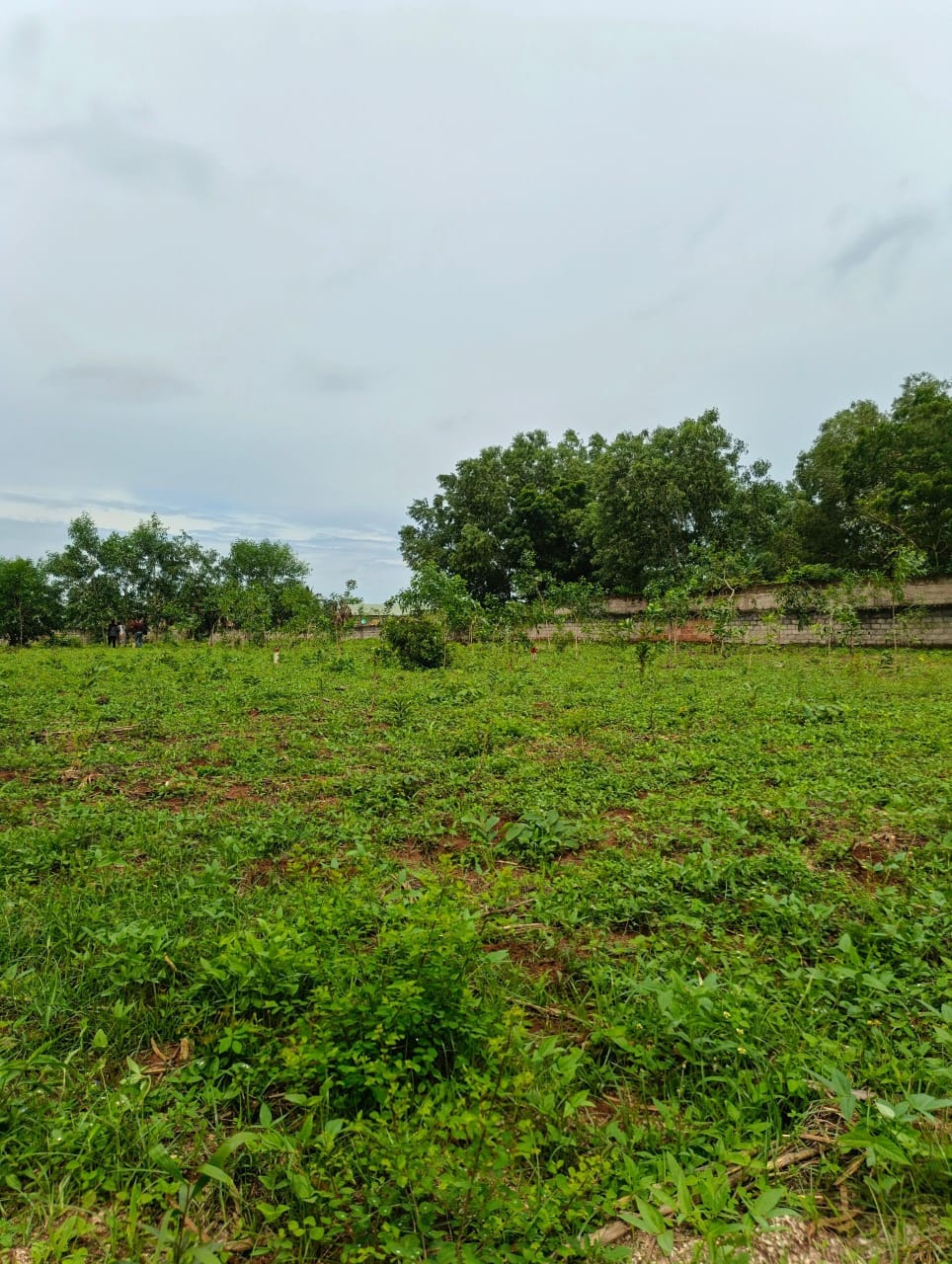IMG-20251011-WA0004