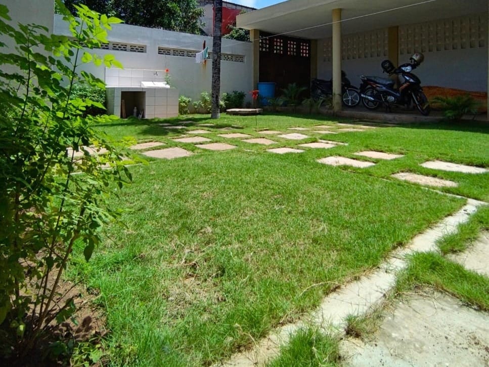 photo11