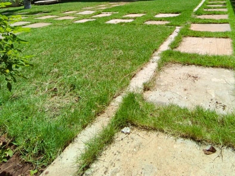 photo16