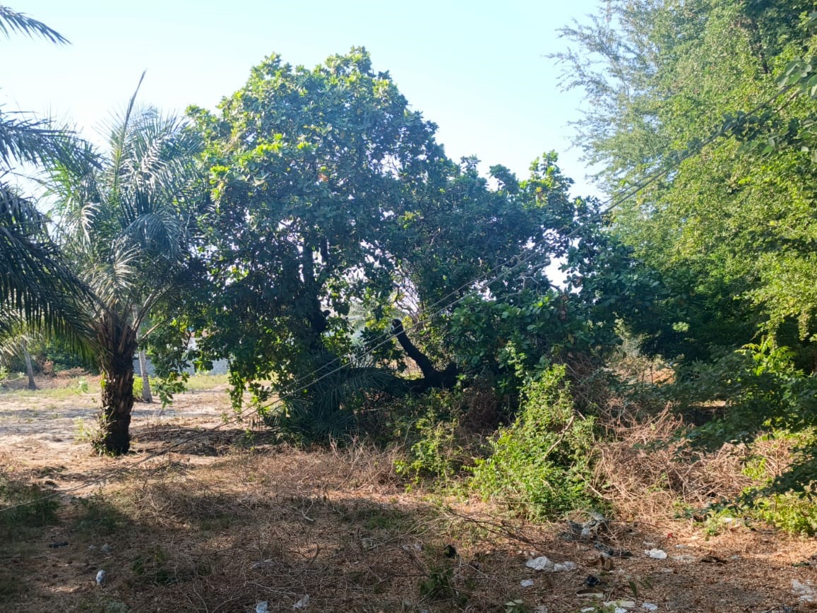 photo 01