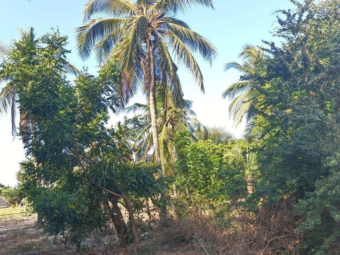photo 02