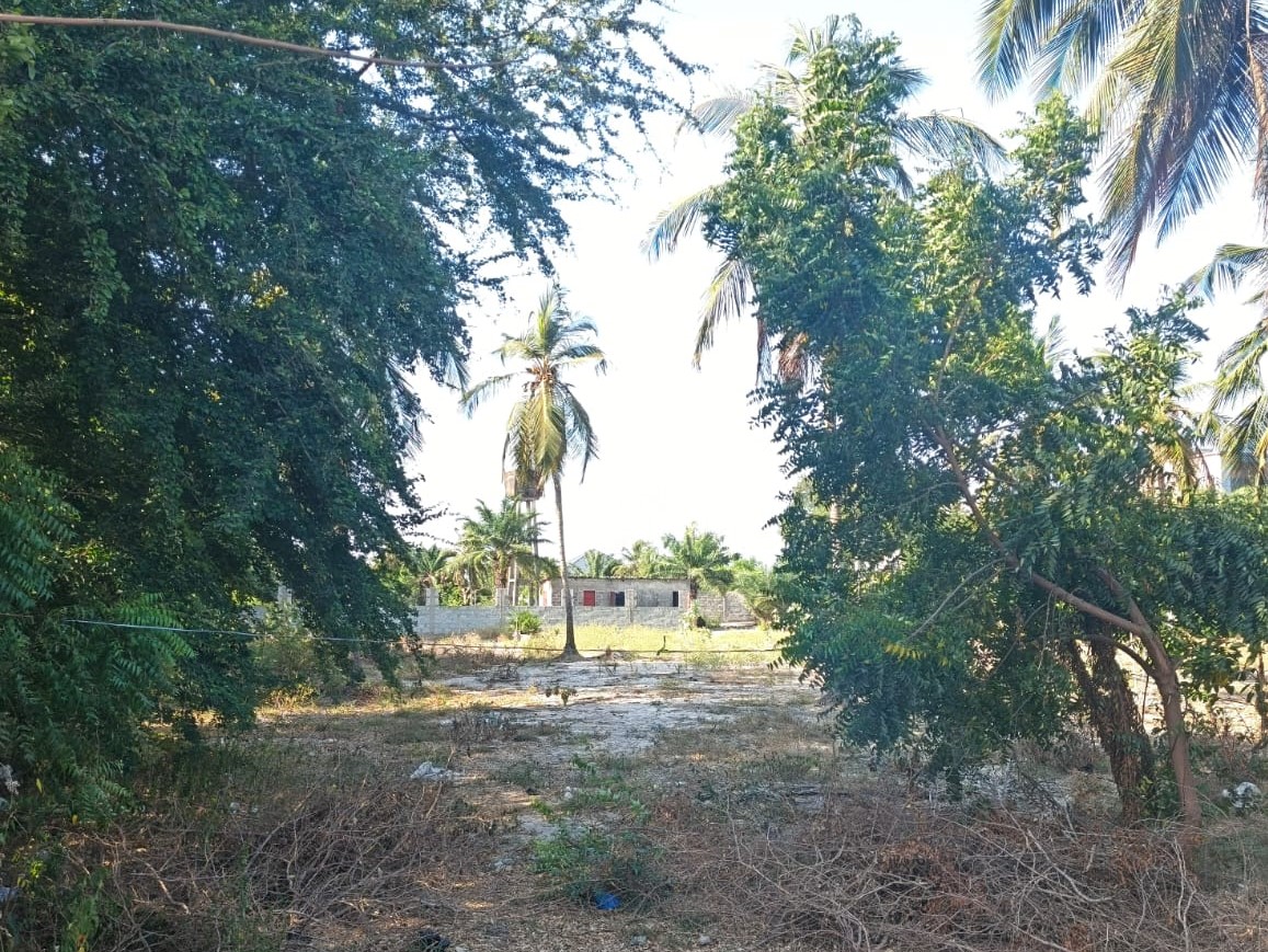 photo 06