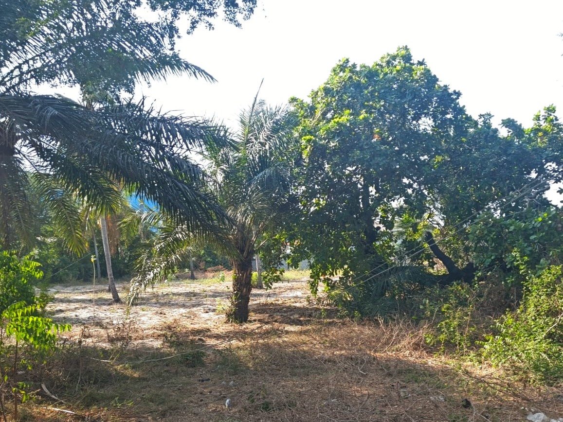 photo 07